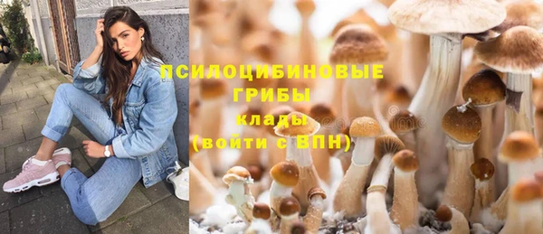mdpv Усинск