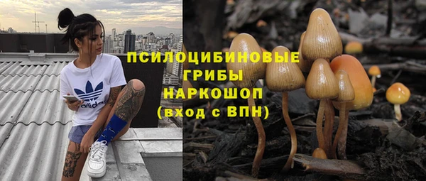 прущие крисы Балахна